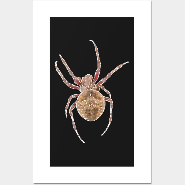 Fierce Orb-Weaver Spider Wall Art by Griffelkinn